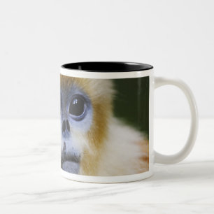 Goldener Affe Zweifarbige Tasse