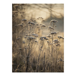 Goldener Frostiger Morgen Flämische Landschaft Poster