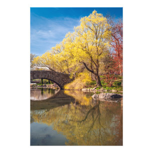 Goldener Frühling Fotodruck