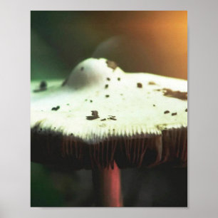 Goldener Glow Pilz Poster