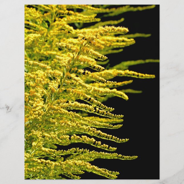 Goldener Golddiamant (Vorderseite)