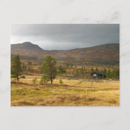Goldener Herbst auf einem norwegischen Hochplateau Postkarte