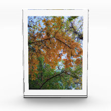 Goldener Herbst-Fotoblock