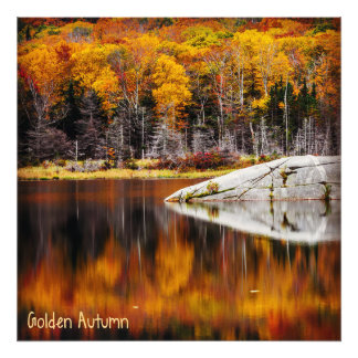 Goldener Herbst Fotodruck