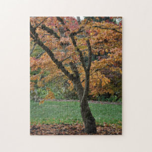 Goldener Herbstbaum