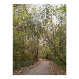 Goldener Herbstwaldweg Poster