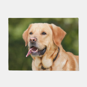 Goldener Labrador Fußmatte