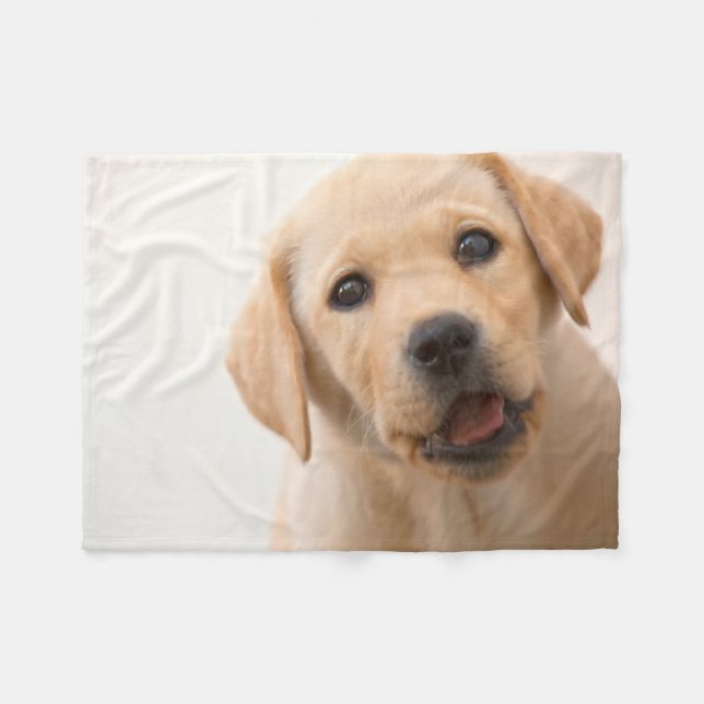 Goldener Labrador-Welpe Fleecedecke (Vorderseite (Horizontal))