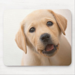 Goldener Labrador-Welpe Mousepad