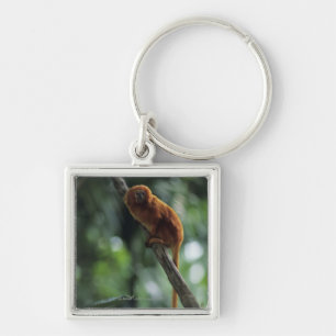 Goldener Löwe Tamarin (Leontopithecus rosalia) Schlüsselanhänger