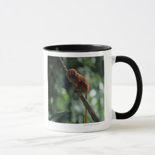 Goldener Löwe Tamarin (Leontopithecus rosalia) Tasse