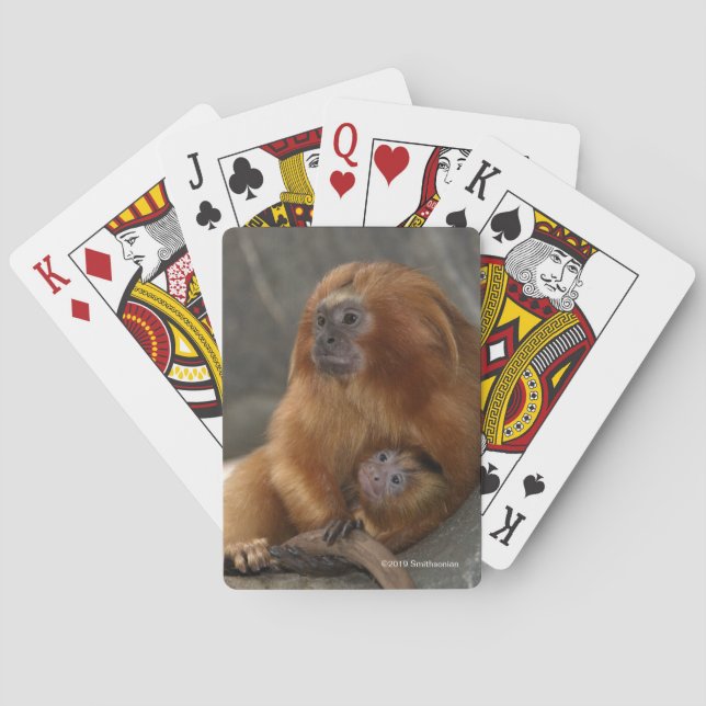 Goldener LöweTamarin mit Baby Spielkarten (Rückseite)