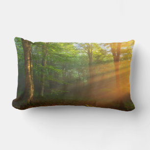 Goldener Moment des Lichts Lendenkissen