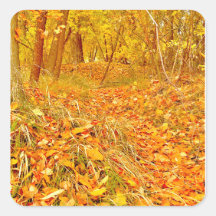 Goldener Pfad