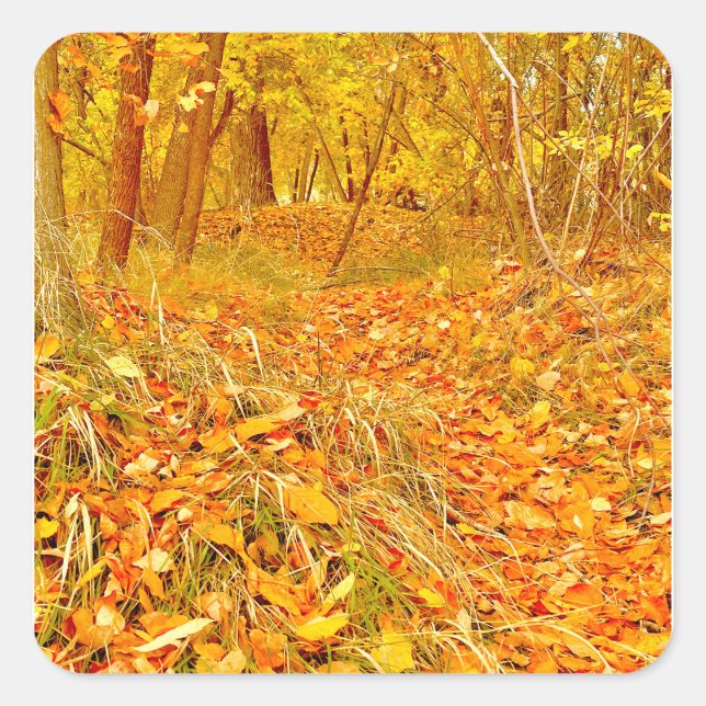 Goldener Pfad Quadratischer Aufkleber (Vorderseite)