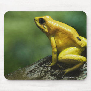 Goldener Pfeil-Frosch Mousepad