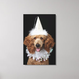 Goldener Pudel-Hund, der ein weißes Clownkostüm Leinwanddruck