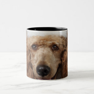 Goldener Pudel-Hund, der ein weißes Clownkostüm Zweifarbige Tasse