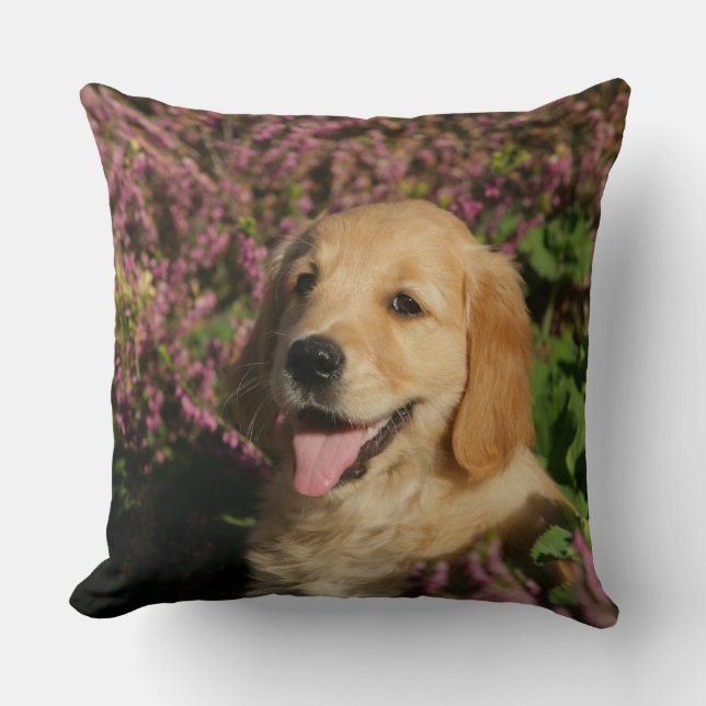 Goldener Retreiver Welpe Kissen (Vorderseite)