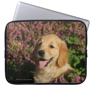Goldener Retreiver Welpe Laptopschutzhülle