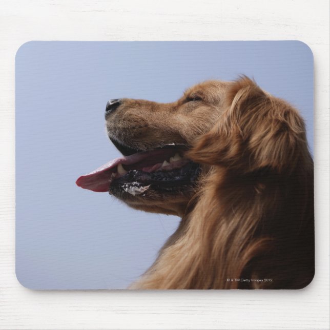 Goldener Retriever 6 Mousepad (Vorne)