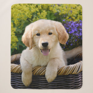 Goldener Retriever-Baby-Hundewelpen-lustiges Sherpadecke