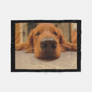Goldener Retriever-Fleece-Decke Fleecedecke