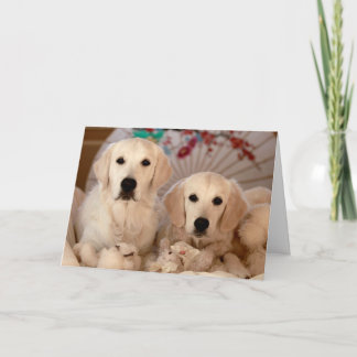 Goldener Retriever-Foto-Karte Karte