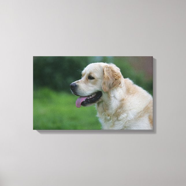 Goldener Retriever Headshot 2 2 Leinwanddruck (Vorderseite)