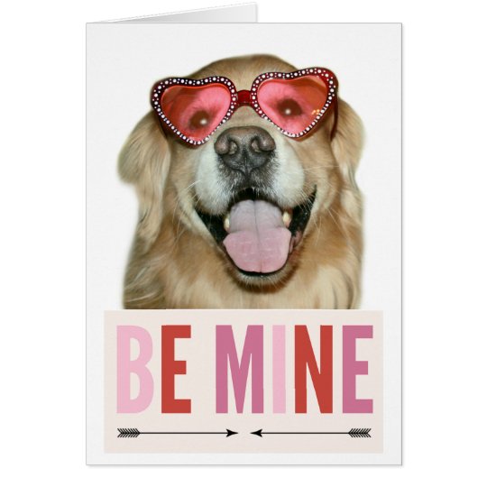 Goldener Retriever-Hund in den Karte