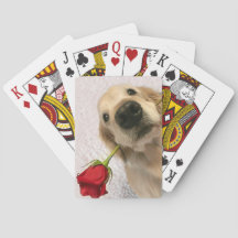 Goldener Retriever-Hund mit Roter Rose