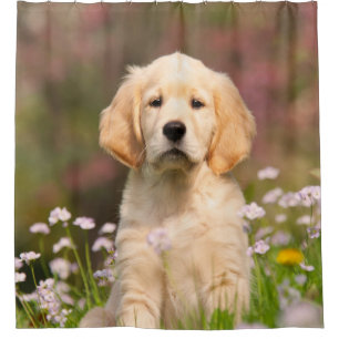 Goldener Retriever-Hundniedlicher Goldie Welpe, Duschvorhang