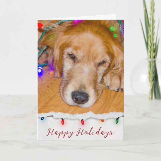 Goldener Retriever im Licht Karte (Vorderseite)
