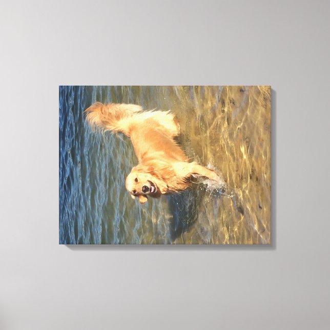 Goldener Retriever im Ozean Leinwanddruck (Vorderseite)