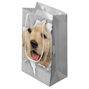 Goldener Retriever im Papierloch Kleine Geschenktüte