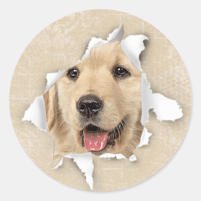 Goldener Retriever im Papierloch Runder Aufkleber (Vorderseite)