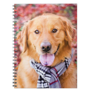 Goldener Retriever im Scarno Notizblock