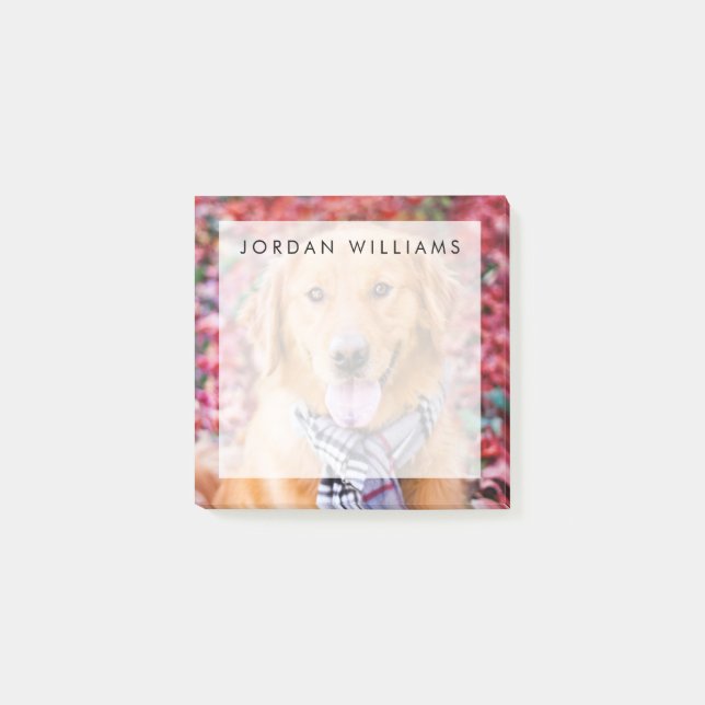 Goldener Retriever im Scarno Post-it Klebezettel (Vorderseite)