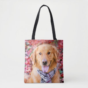 Goldener Retriever im Scarno Tasche