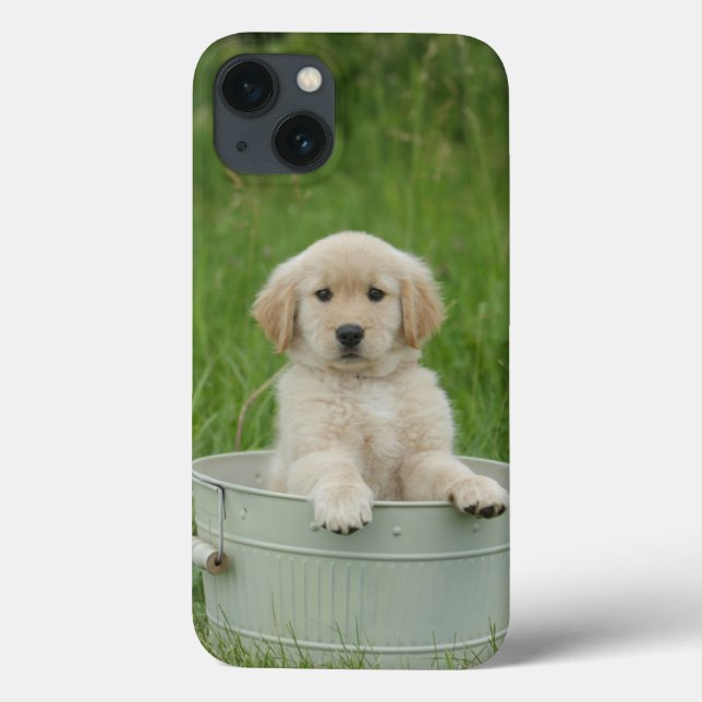 Goldener Retriever im Waschbecken Case-Mate iPhone Hülle (Rückseite)