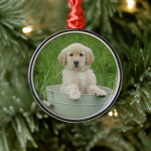 Goldener Retriever im Waschbecken Ornament Aus Metall