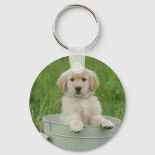 Goldener Retriever im Waschbecken Schlüsselanhänger