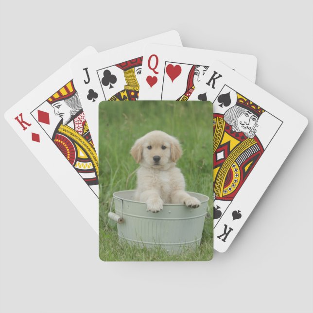 Goldener Retriever im Waschbecken Spielkarten (Rückseite)