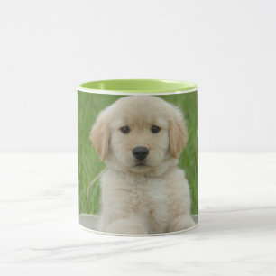 Goldener Retriever im Waschbecken Tasse