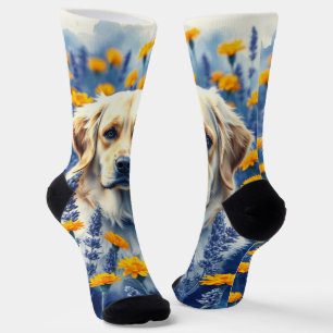 Goldener Retriever in den Blume Socken