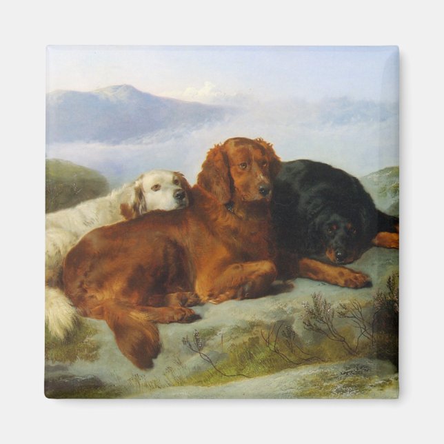 goldener Retriever, irischer und Gordon-Setter-Mag Magnet (Vorne)