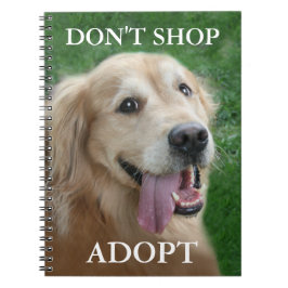 Goldener Retriever kaufen nicht adoptieren Rettung Notizblock