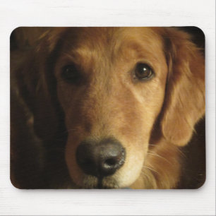 Goldener Retriever Maia herauf nahes Mousepad