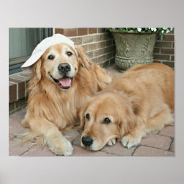 Goldener Retriever mit Baseballkappe Poster