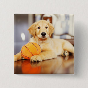 Goldener Retriever mit Basketballspielzeug Button